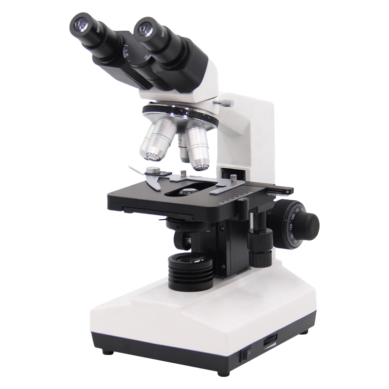 Versatile Wf10X Wf16X Eyepiece Binocular Microscope for Detailed Viewing